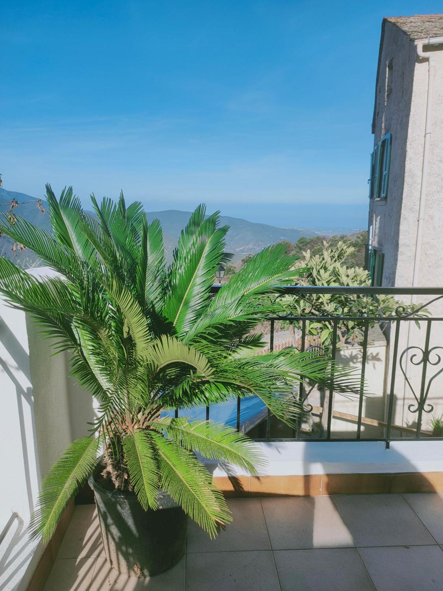 Maison Corse Avec Piscine Et Sauna - La Casa Lilia Ferienhaus *