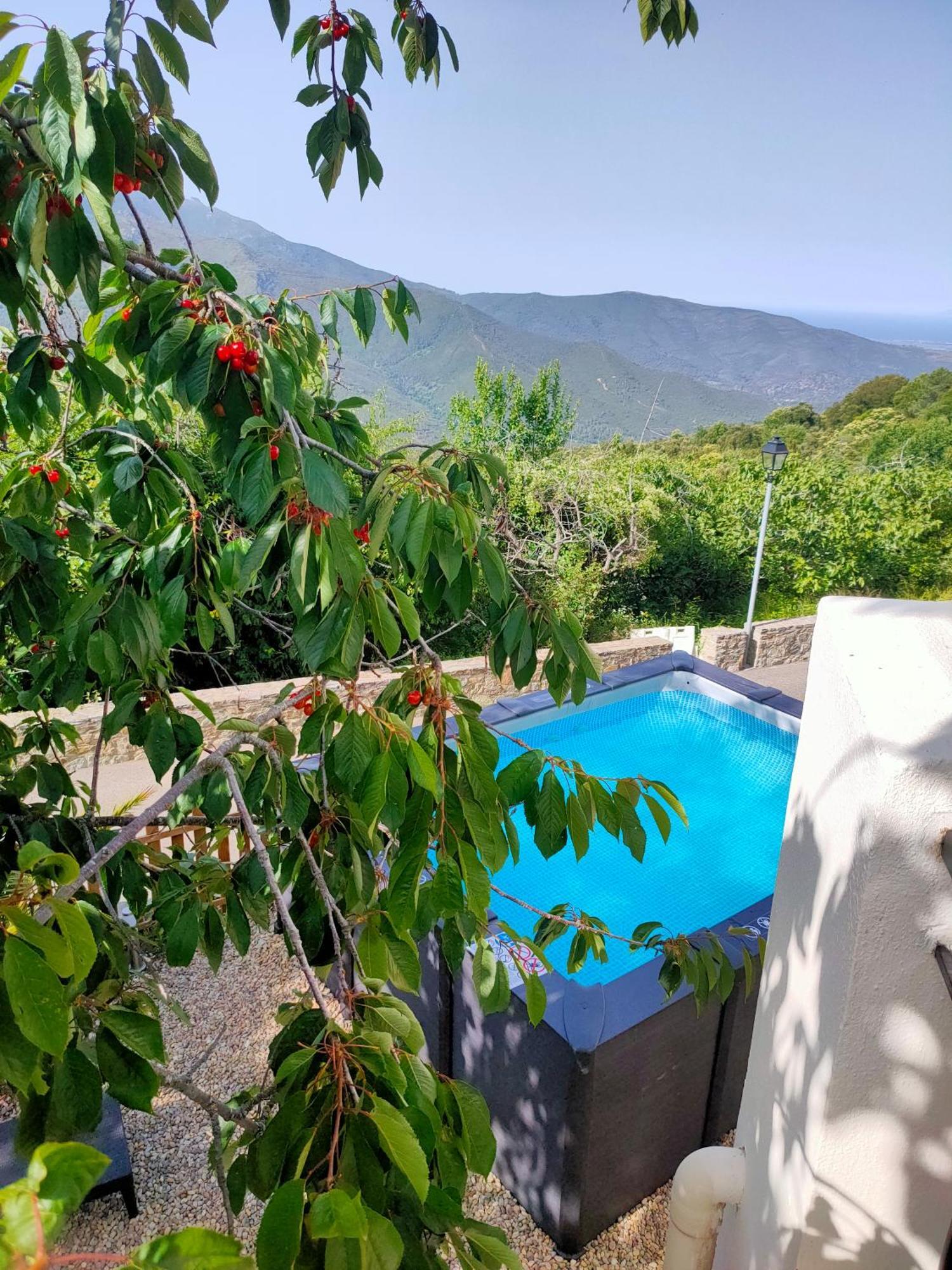 Maison Corse Avec Piscine Et Sauna - La Casa Lilia *